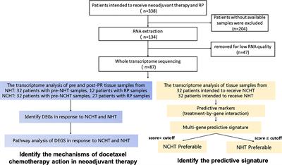 Transcriptomic signature defines two subtypes of locally advanced PCa with distinct neoadjuvant therapy benefits